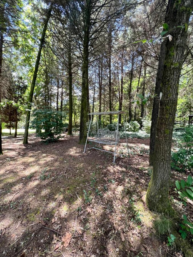 Villas Do Monte Guimarães Eksteriør bilde