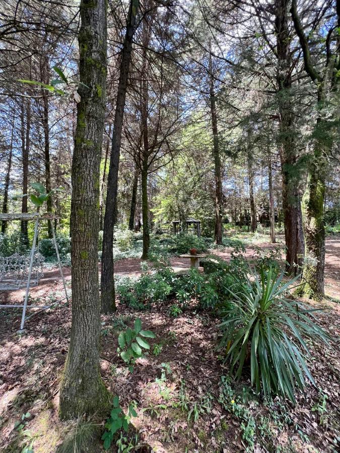 Villas Do Monte Guimarães Eksteriør bilde